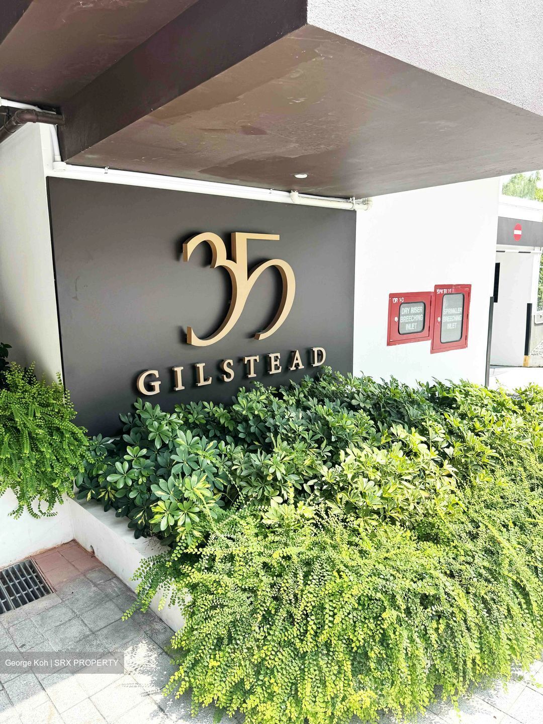 35 Gilstead (D11), Apartment #584730911